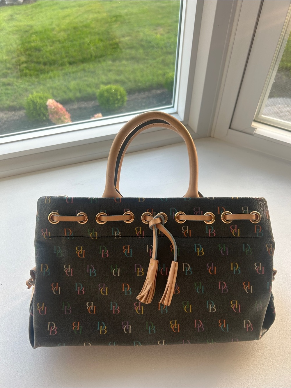 Dooney & Bourke Multicolor Monogram bag